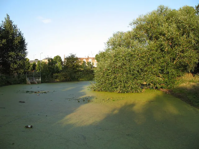 Glebelands Local Nature Reserve