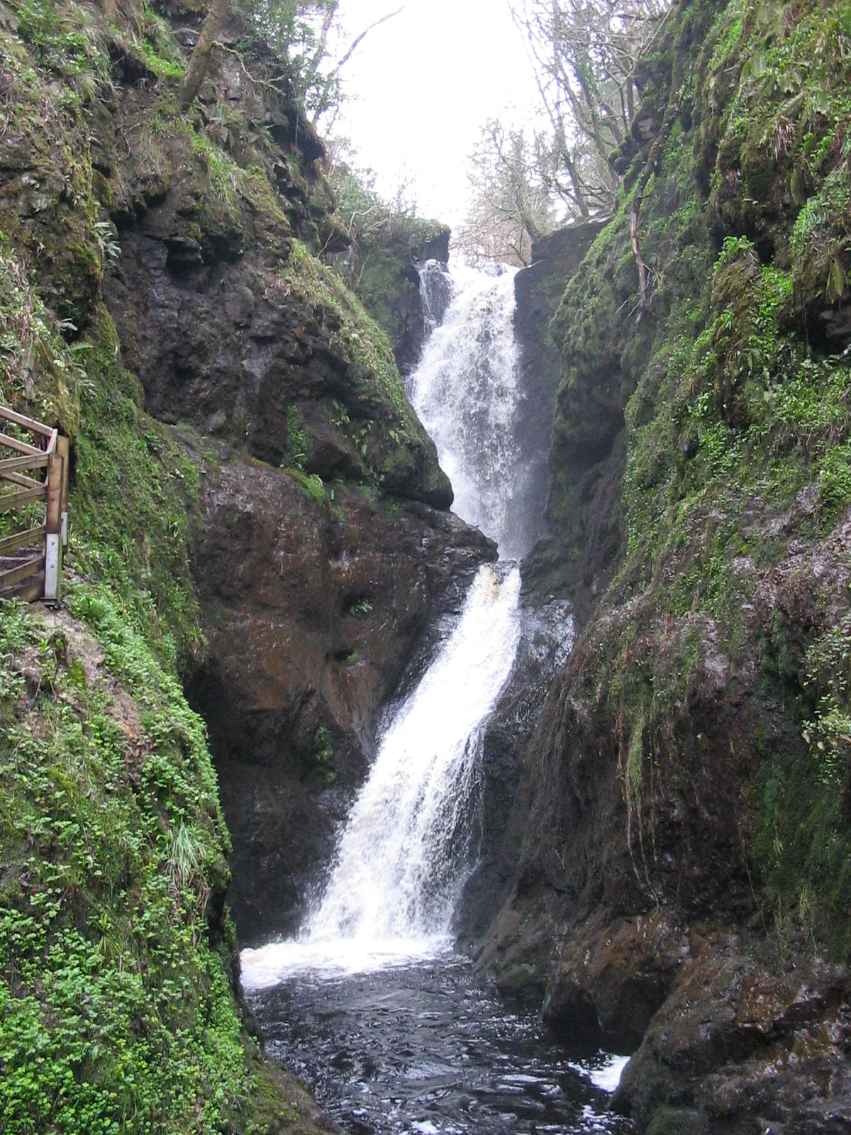 Glenariff Forest Park