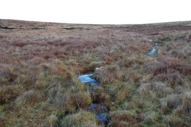 Glimps Holm
