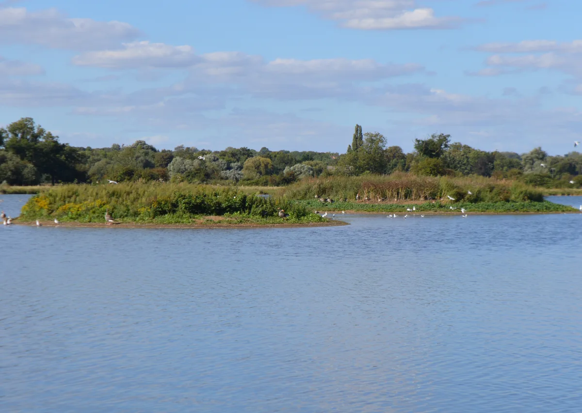 Godmanchester Nature Reserve