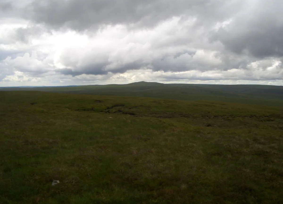 Gorllwyn