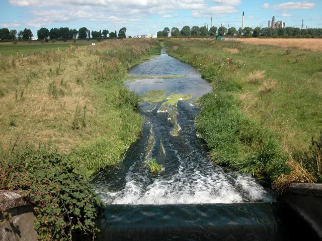 Gowy Meadows Nature Reserve