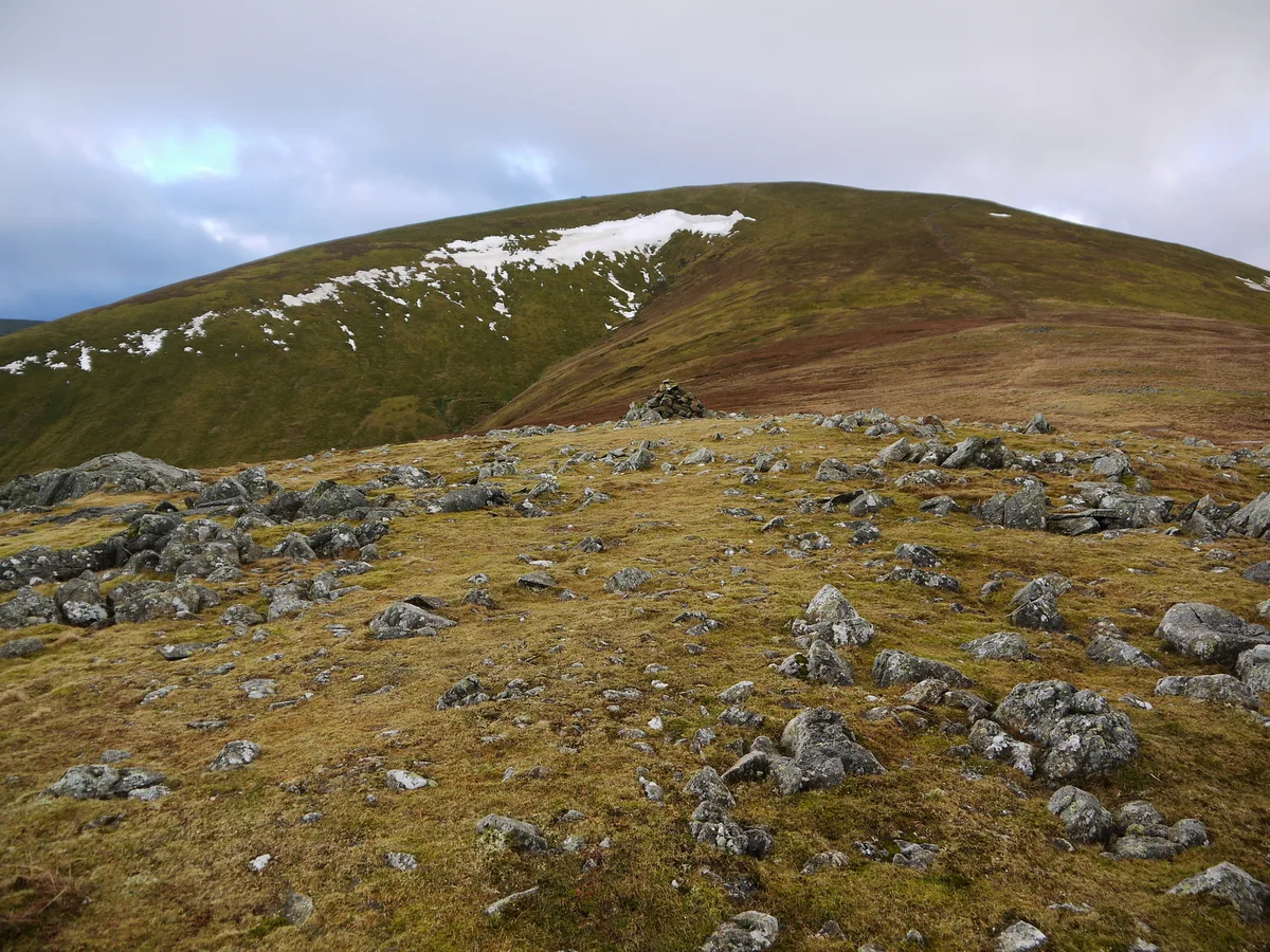 Great Dodd