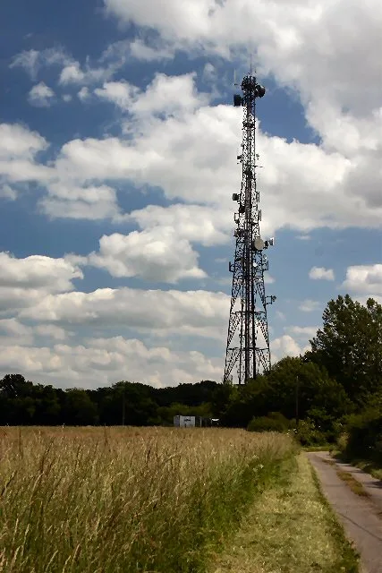 Great Wood Hill