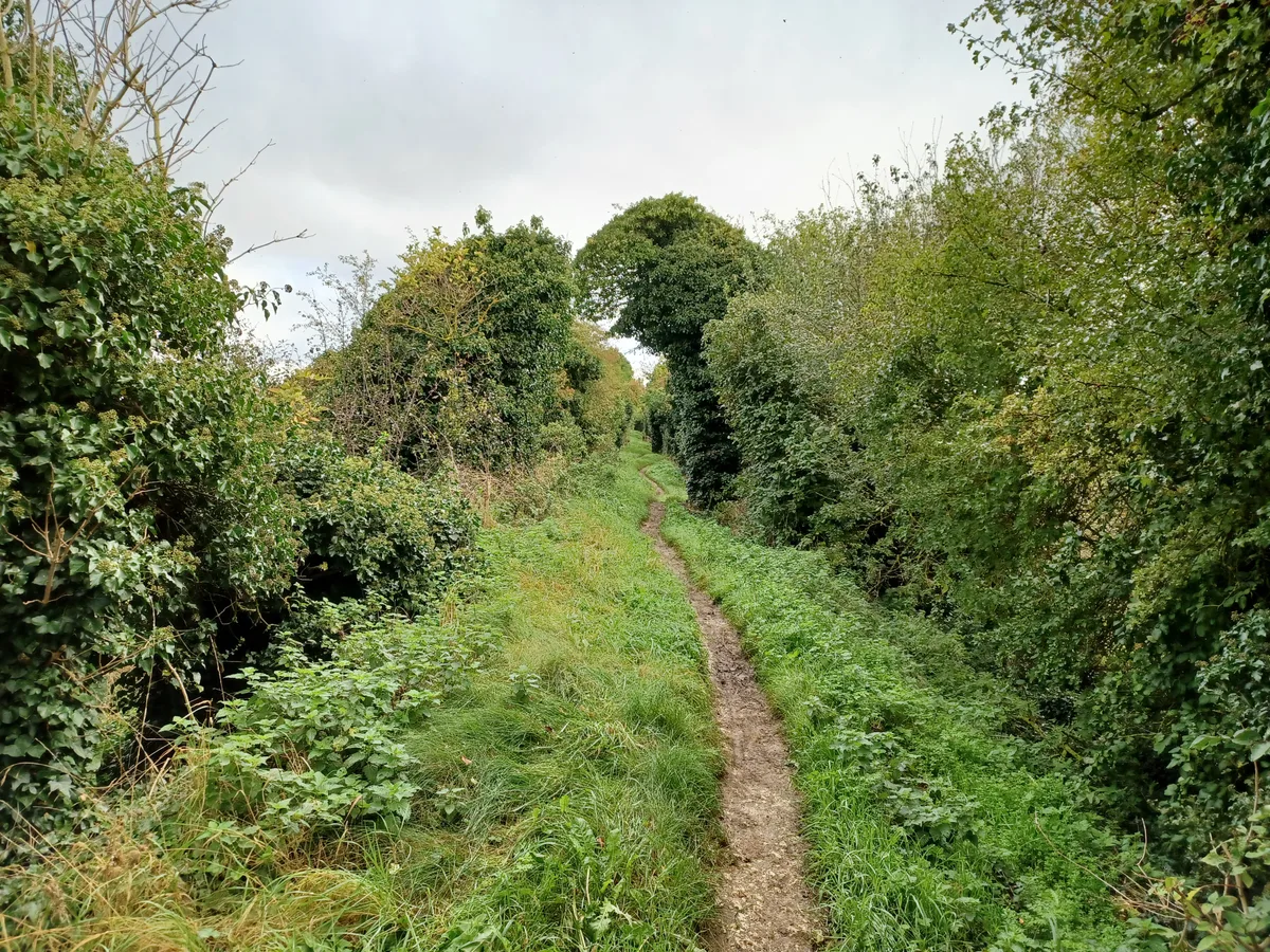 Grim's Ditch; portion from Mongewell Park Lodge to S of Nuffield church