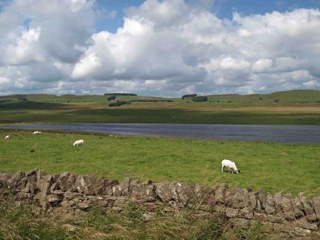Grindon Lough nature reserve