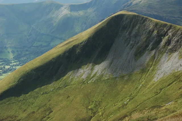Gwaun y Llwyni