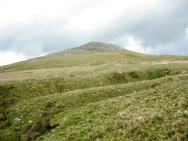 Gyrn