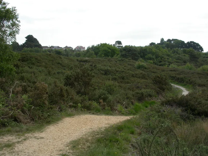 Ham Common (LNR)