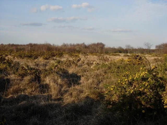 Hamble Common Camp