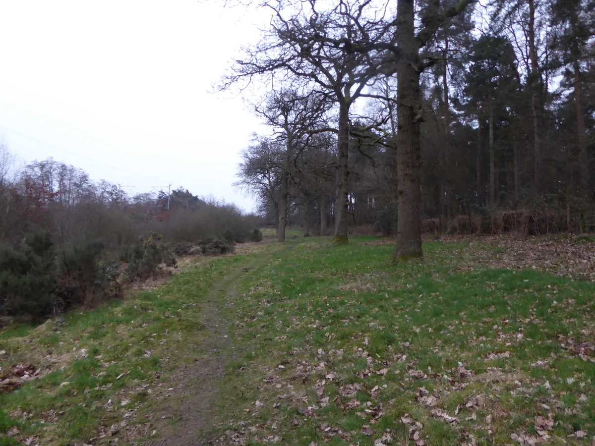 Harlestone Heath