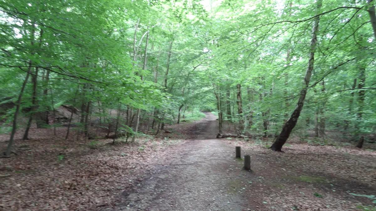 Harrow Weald Common