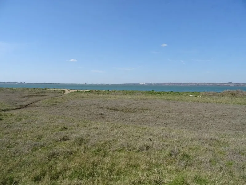 Hayling Billy