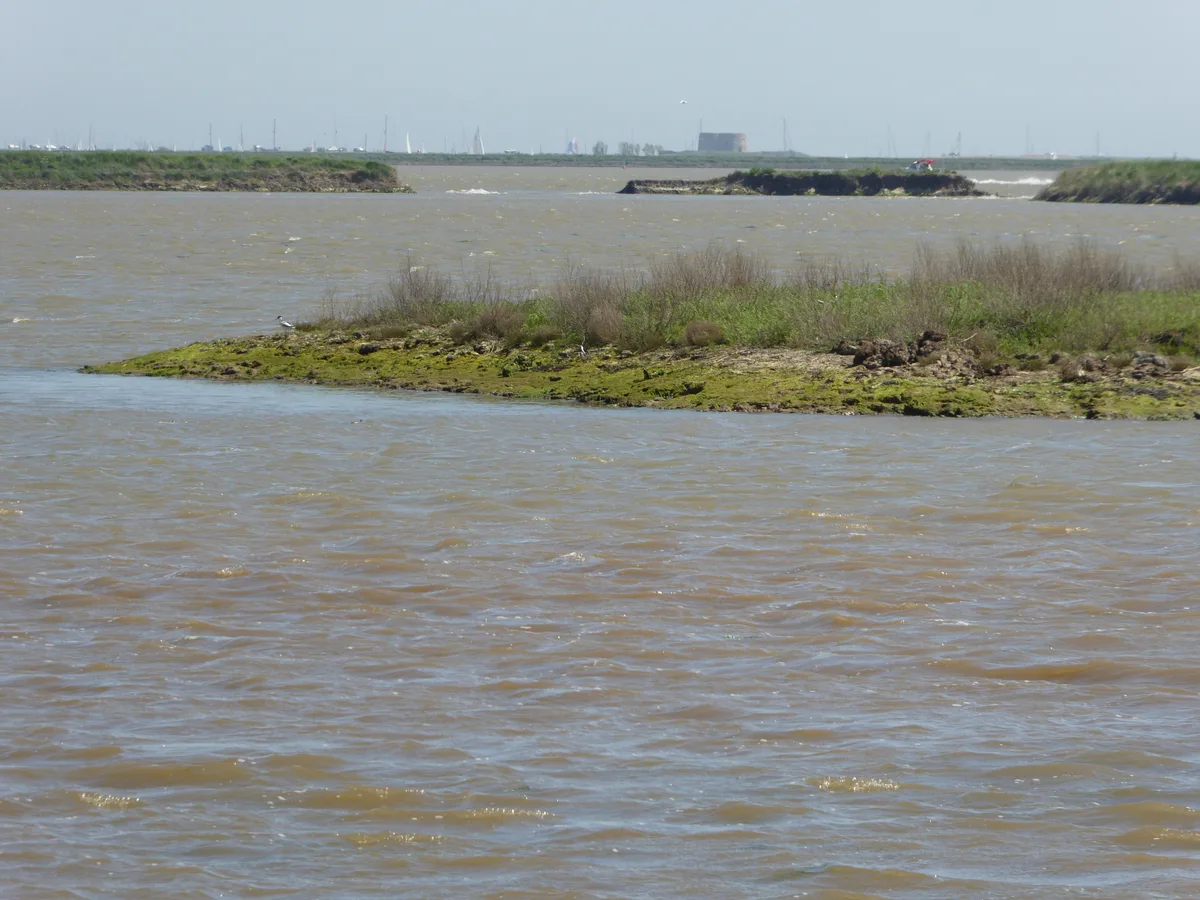 Hazlewood Marshes