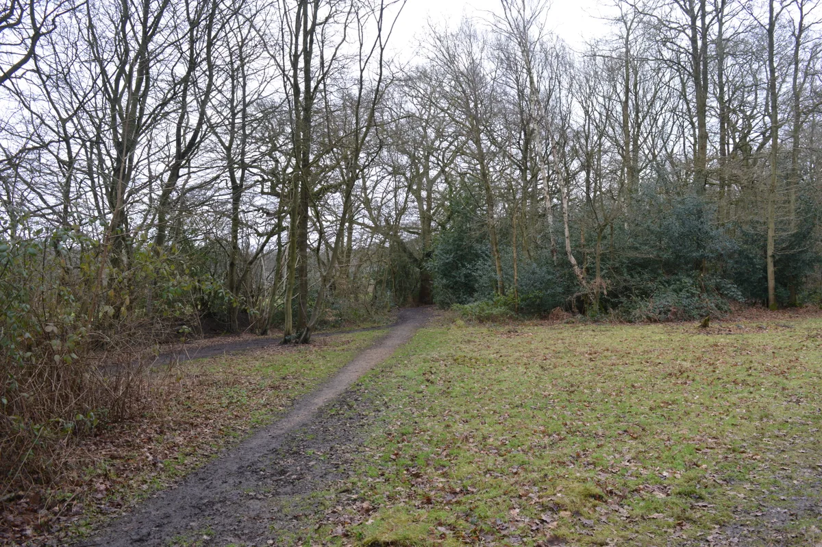 Hertford Heath nature reserve