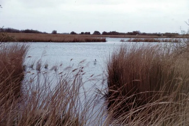 Hickling Broad