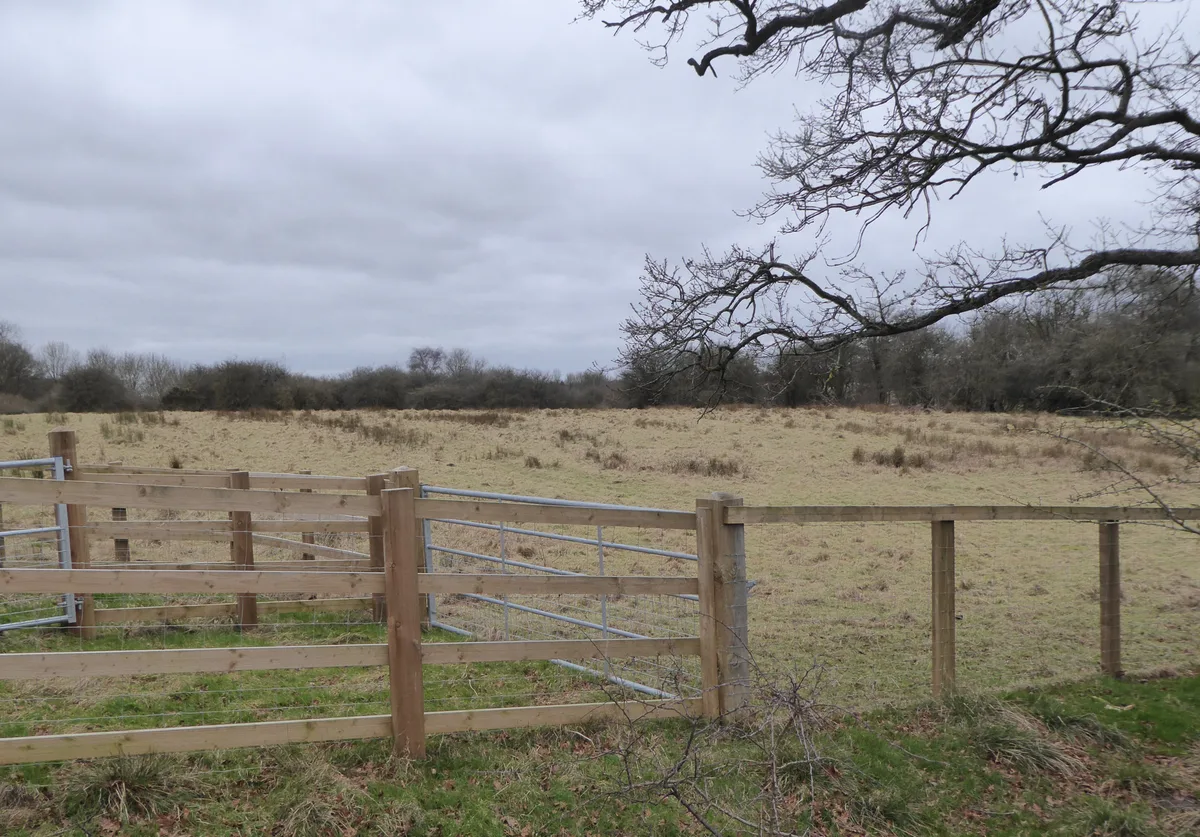 High Wood and Meadow