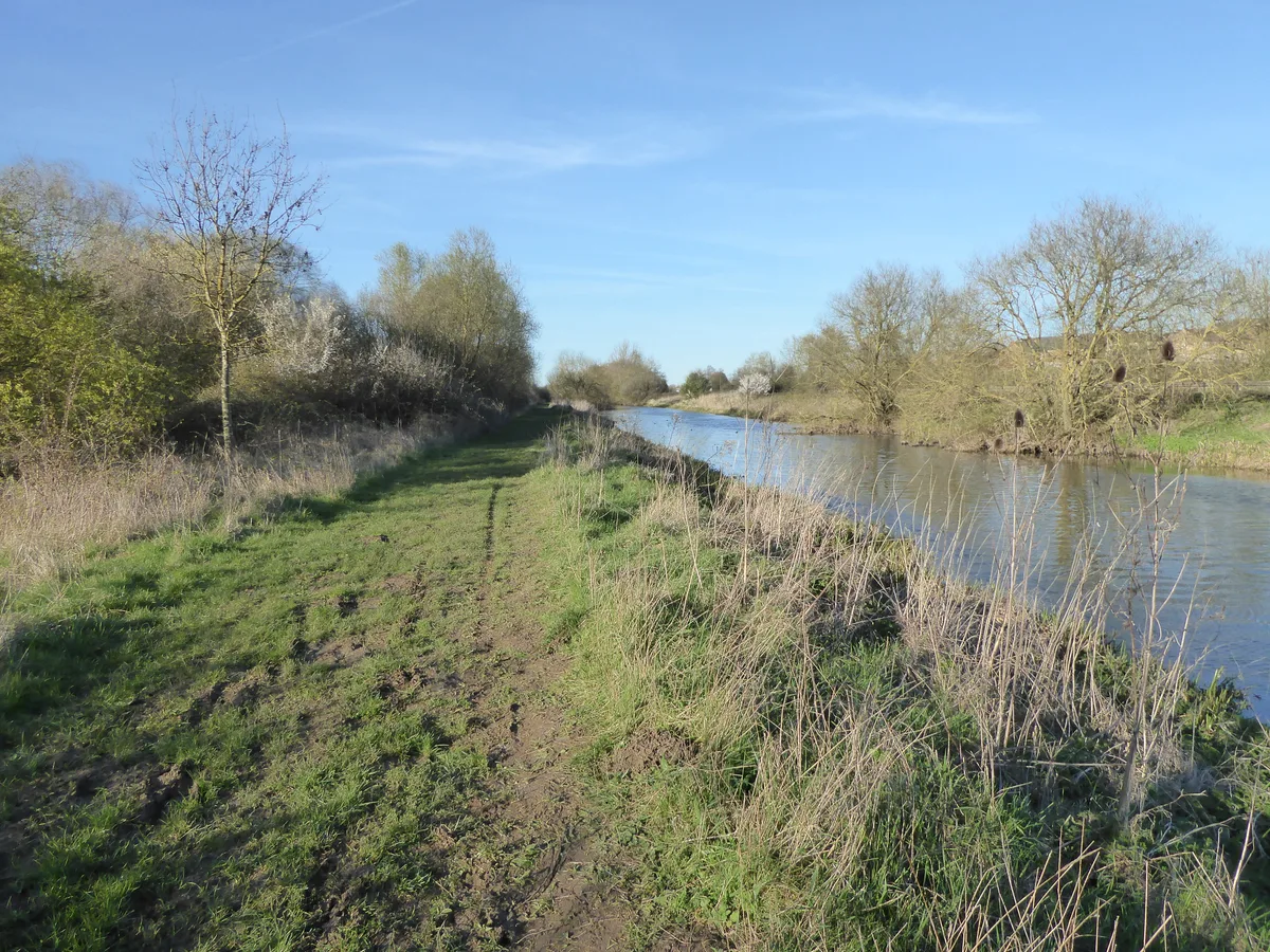 Higham Ferrers Pits