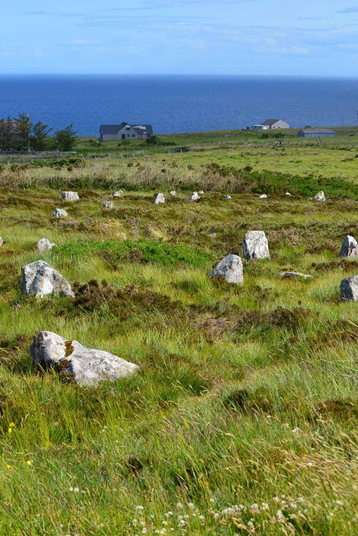 Hill o' Many Stanes