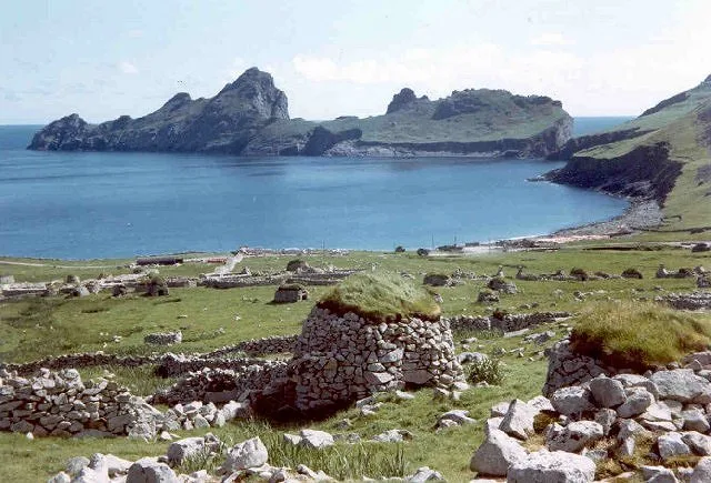 Hirta