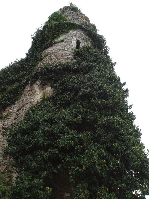 Holditch Court Tower