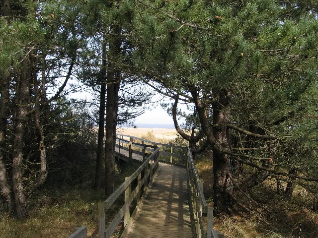 Holkham National Nature Reserve