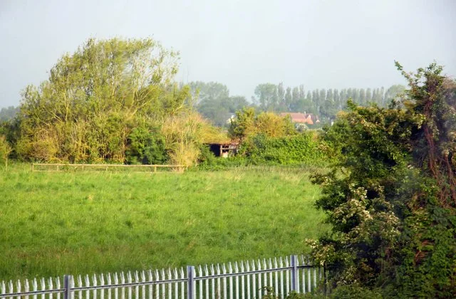 Hook Meadow and The Trap Grounds