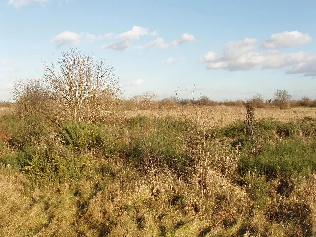 Hounslow Heath