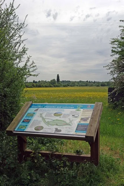 Hunsdon Mead
