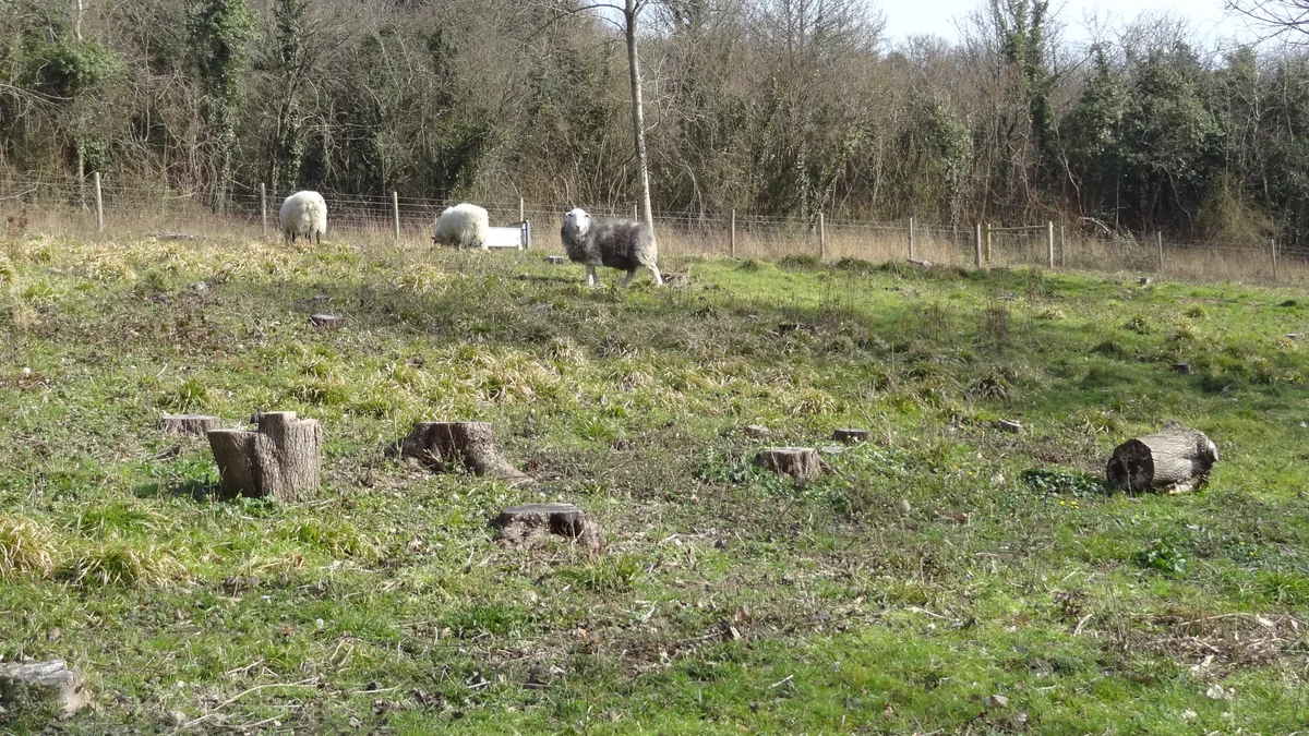 Hutchinson's Bank