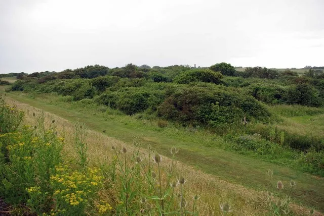 John Weston Nature Reserve