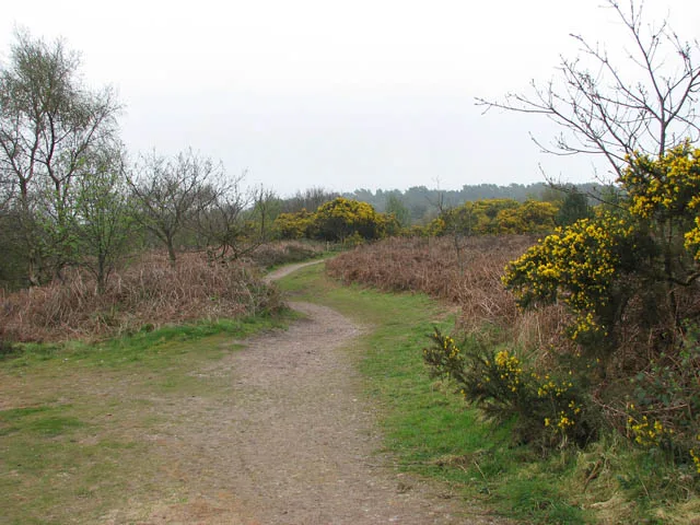 Kelling Heath