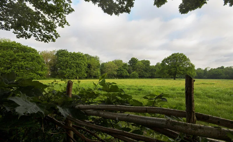 Kenley Common