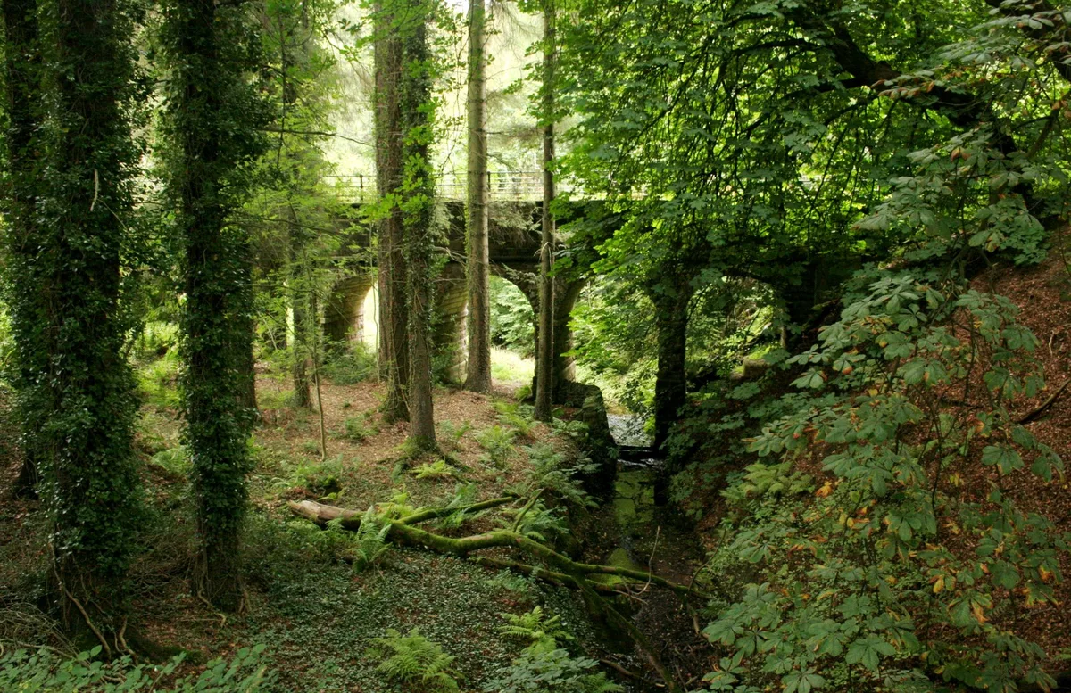 Killearn Aqueduct Bridge (former Glasgow Corporation Water Works)