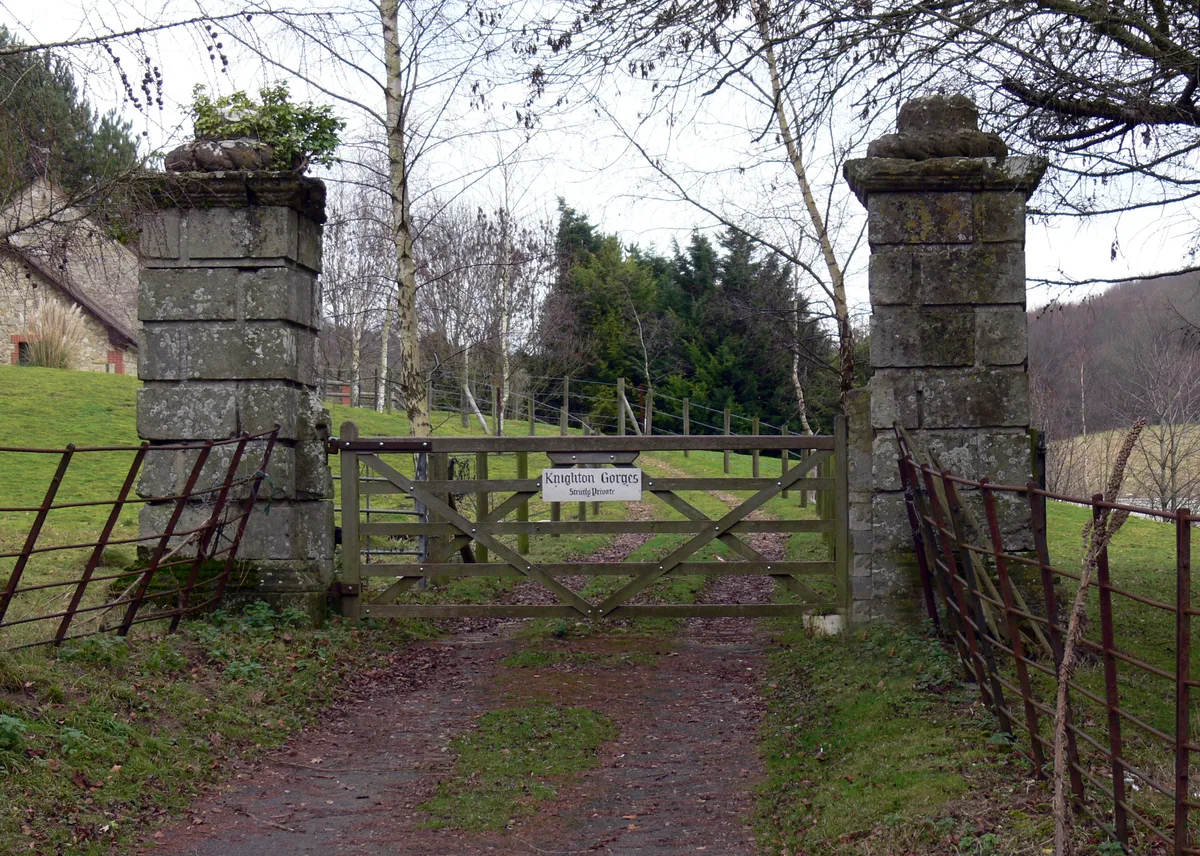 Knighton Gorges Manor