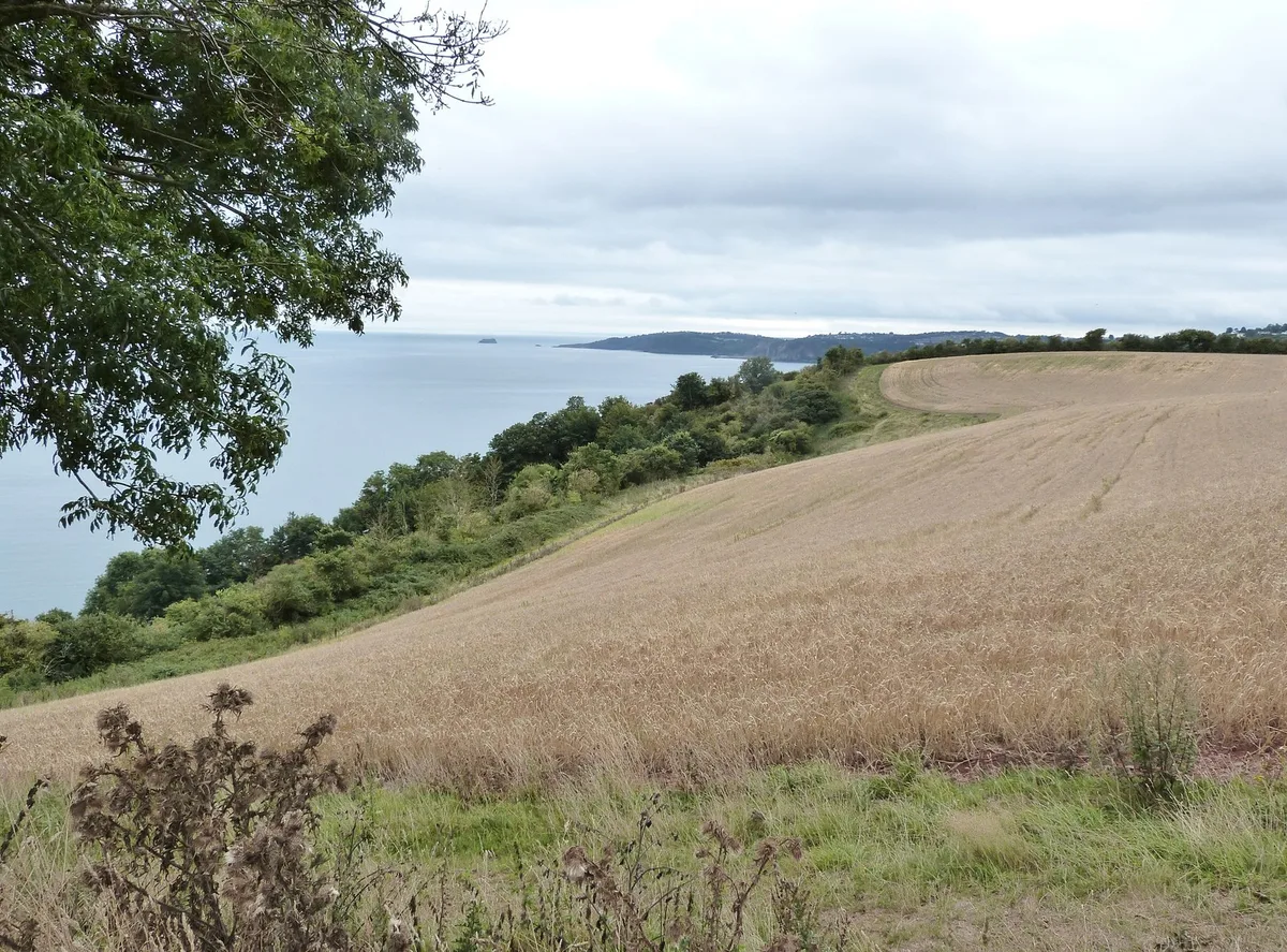 Labrador Bay RSPB Reserve