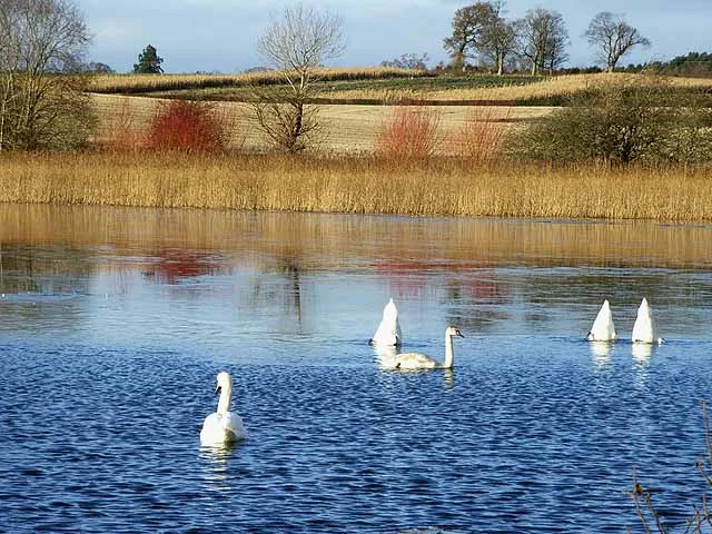 Lake of the Hirsel