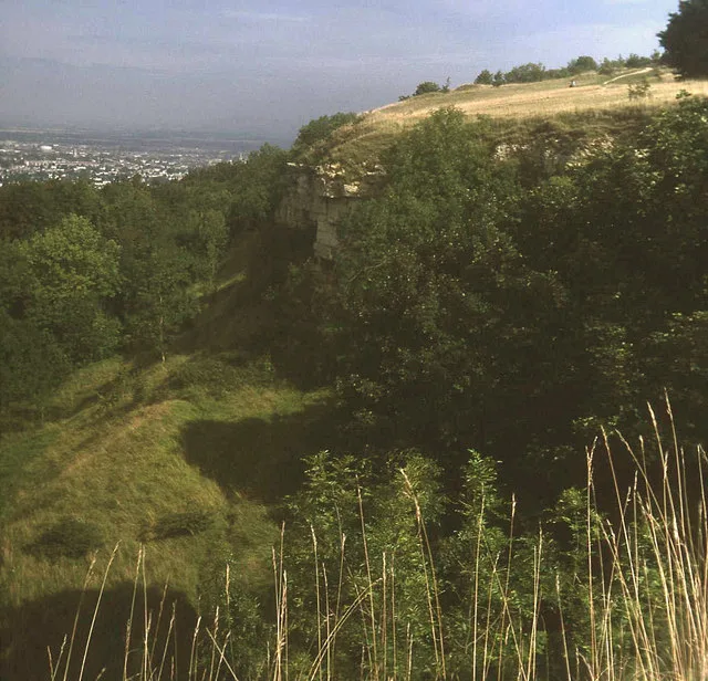 Leckhampton Hill