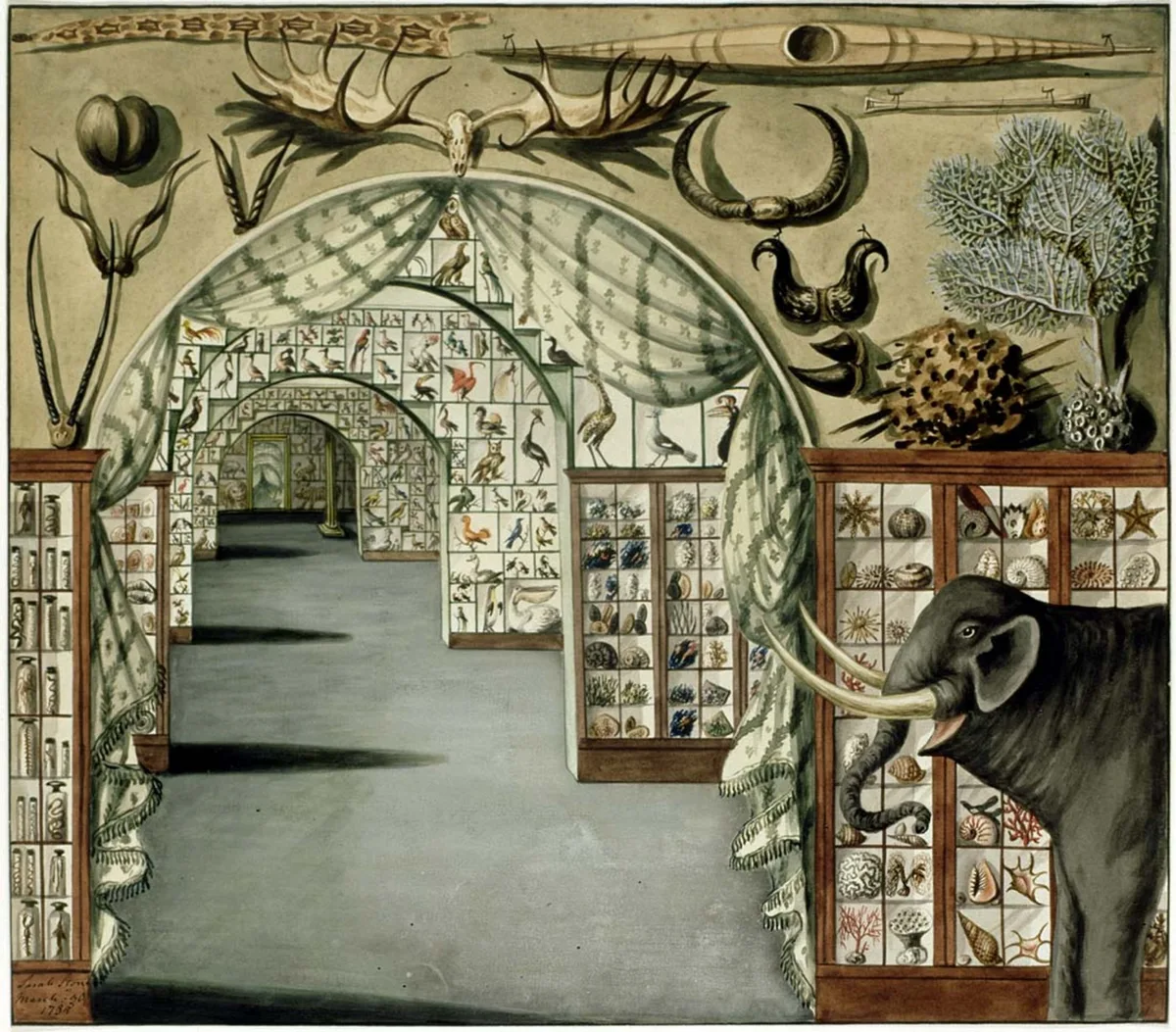 Leverian collection