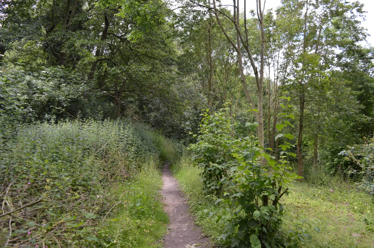 Lexden Gathering Grounds