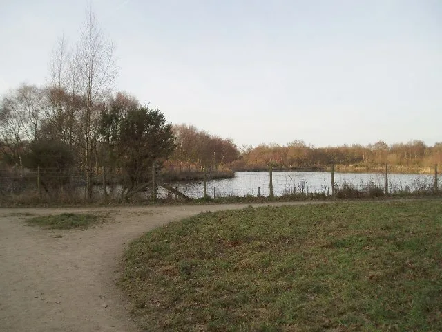 Lindow Common