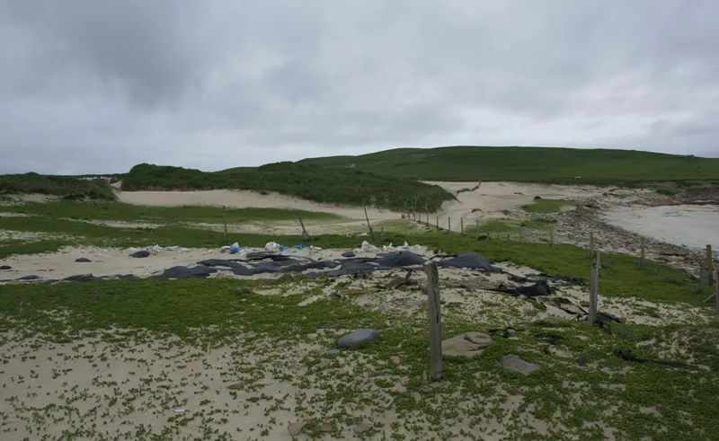 Links of Noltland