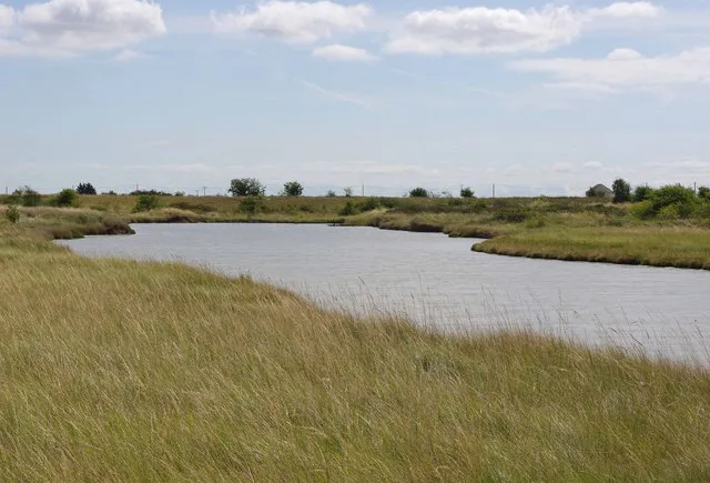 Lion Creek and Lower Raypits