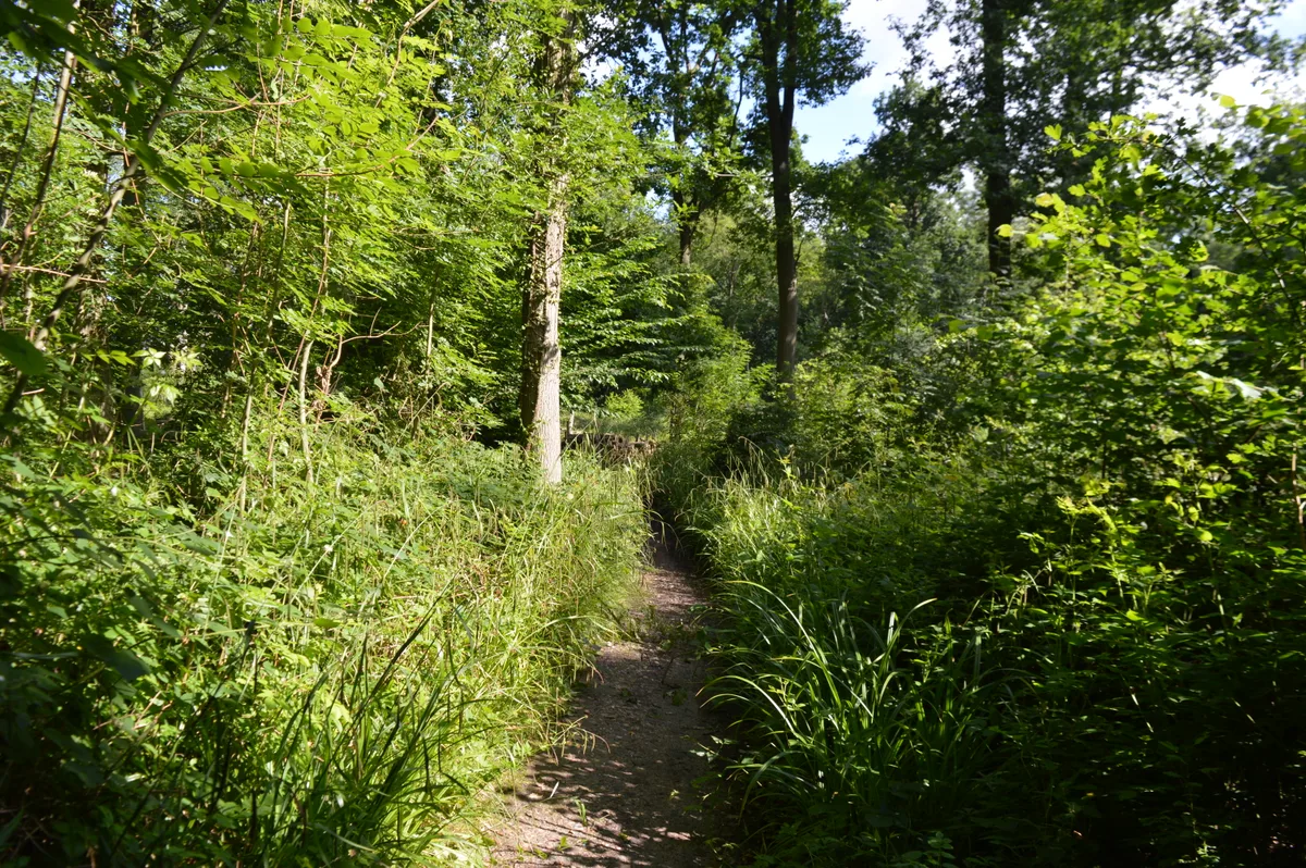 Little Haven Nature Reserve