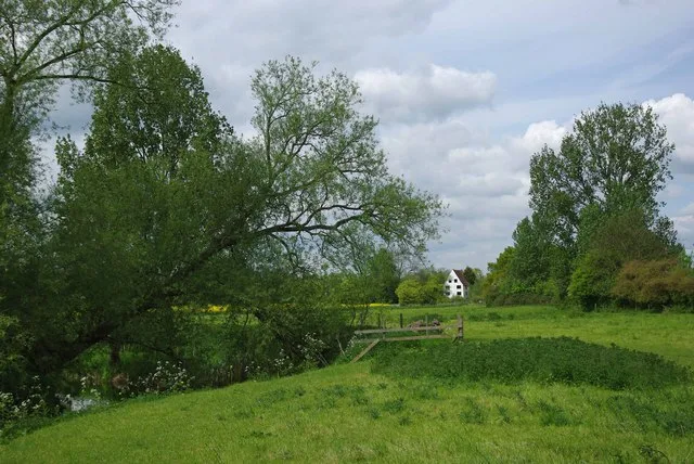 Little Waltham Meadows