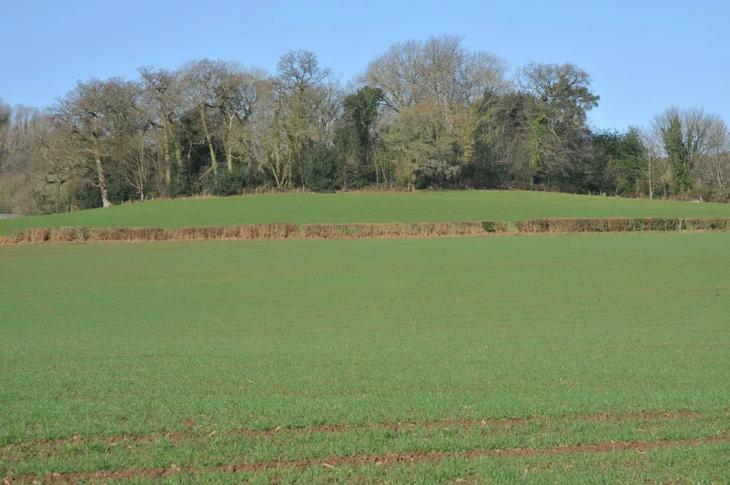 Llangibby Motte