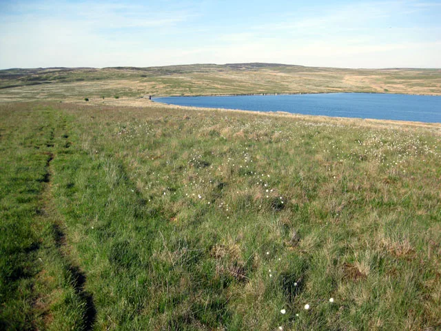 Llyn Aled