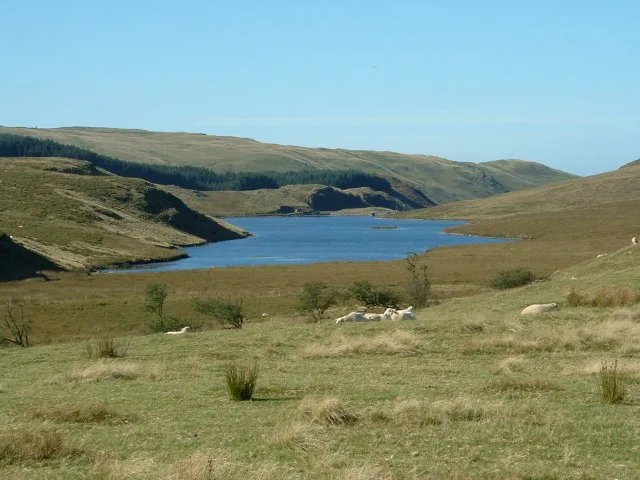 Llyn Craigypistyll