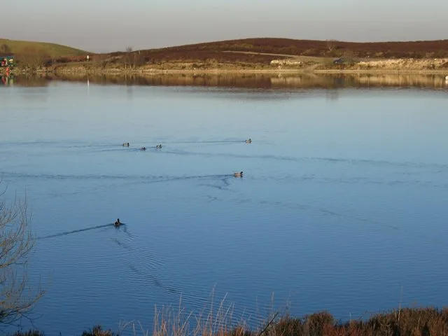 Llyn Cyfynwy