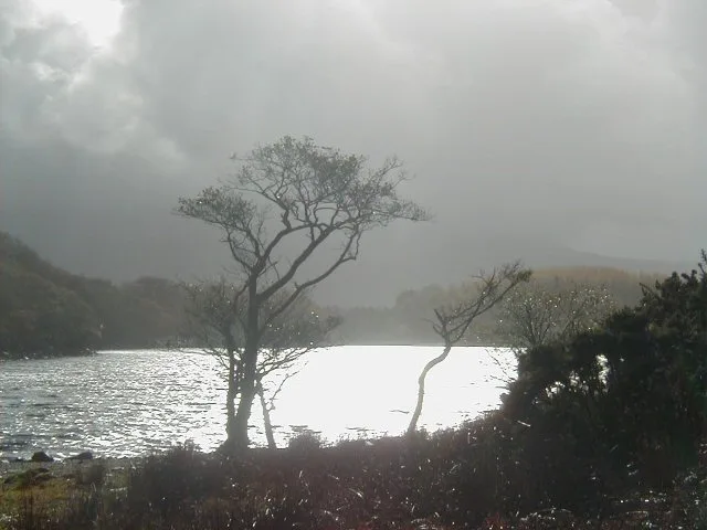 Llyn Cynwch